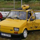 zdjęcie nr 23