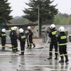 Fotka nr 1 z 12