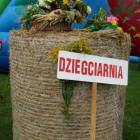 zdjęcie nr 172