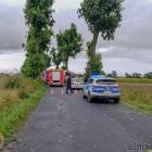 Fotka nr 2 z 7