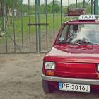 zdjęcie nr 41