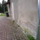 Fotka nr 4 z 6