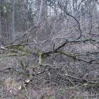 zdjęcie nr 51