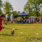 zdjęcie nr 16