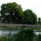 zdjęcie nr 24