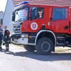 Fotka nr 5 z 12