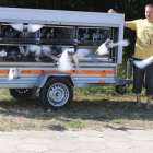 zdjęcie nr 30