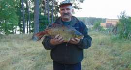 zdjęcie nr 21