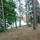 zdjęcie nr 8