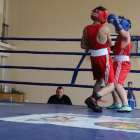 zdjęcie nr 146