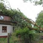zdjęcie nr 28