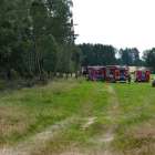 zdjęcie nr 16
