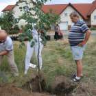 zdjęcie nr 57