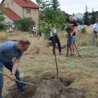 zdjęcie nr 48