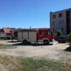 Fotka nr 2 z 10