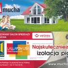 zdjęcie nr 10