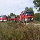 zdjęcie nr 9