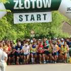 zdjęcie nr 11