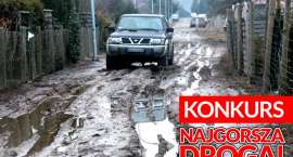 Fotka nr 4 z 11