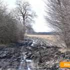 zdjęcie nr 11