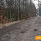 zdjęcie nr 7