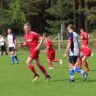 zdjęcie nr 10
