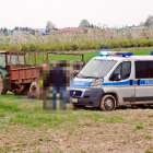 Fotka nr 1 z 5