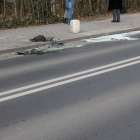 zdjęcie nr 7