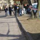 zdjęcie nr 31