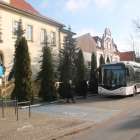 zdjęcie nr 20