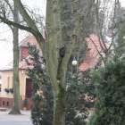 zdjęcie nr 89