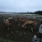 zdjęcie nr 28