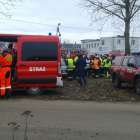 Fotka nr 2 z 10