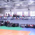 Fotka nr 5 z 59