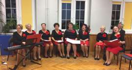 zdjęcie nr 8