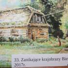zdjęcie nr 38