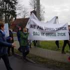 zdjęcie nr 11
