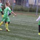 zdjęcie nr 17