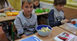 zdjęcie nr 7