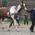 zdjęcie nr 31