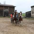 zdjęcie nr 33