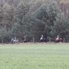 zdjęcie nr 44