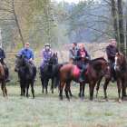 zdjęcie nr 31