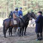 zdjęcie nr 18