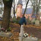 zdjęcie nr 12