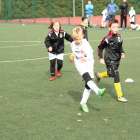 zdjęcie nr 22