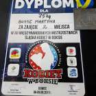 zdjęcie nr 13