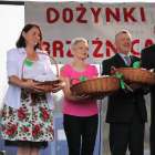 zdjęcie nr 27
