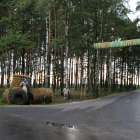zdjęcie nr 117