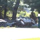 Fotka nr 1 z 11